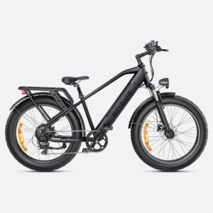 Engwe E26 Electric Bike