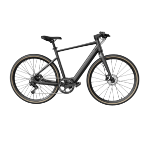 Fiido C21 E-Gravel and City E-Bike