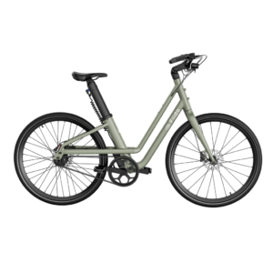 Fiido C700 City E-Bike