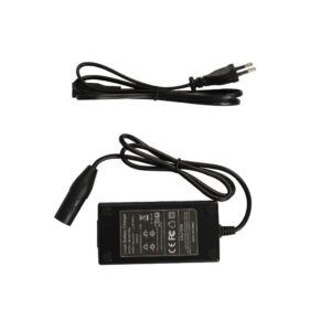 Fiido D3 Charger