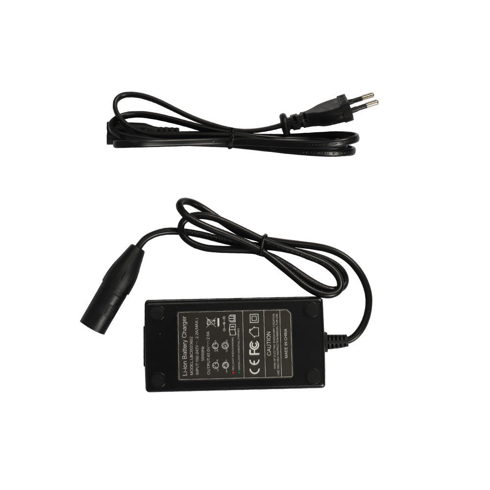 Fiido D3 Charger