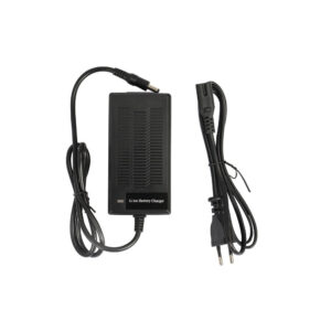 Fiido M1 Pro Charger