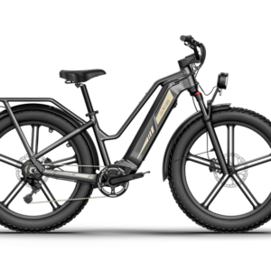 Fiido Titan Electric Bike